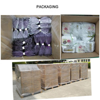 New Arrival Clear Window Recyclable Zipper Stand up Pouch Eco Friendly Packaging for Biscuit and Potato Chips