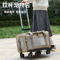 Sac de transport pour animaux de compagnie portable à prix compétitif, en tissu Oxford souple et en maille, pour chat et chien, avec coussin
