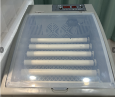 Jt điện duy nhất 50 trứng lồng ấp với cao nở tỷ lệ thiết kế mới cho bán - Product Image 5