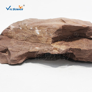 Natural sandstone and shale specimen; transitional lithology of sandy and argillaceous material; clear bedding structure; - Product Image 2