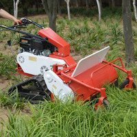 Tondeuse à gazon autoportée haute performance 6000w Tondeuse à essence à poussée manuelle Tondeuse à gazon haute puissance 160kgs de poids