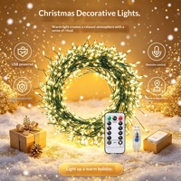 Lumières LED en forme de pétard, fil de cuivre, fil vert, télécommande, alimentation USB, décoration de Noël, éclairage festif de cour