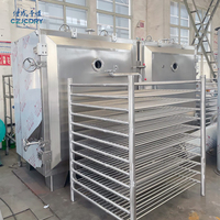 Secador de vacío YZG/FZG para alimentos de frutas GMP de baja temperatura