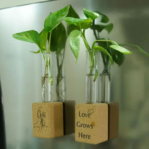 Couvercle en liège de jardinière de Terrarium en verre de Style classique Station d'eau de sol suspendue pour la propagation des plantes Pots de jardin élégants pour la maison - Product Image 2