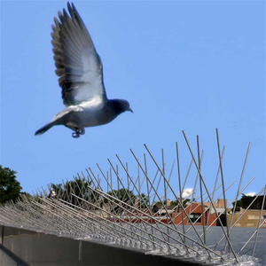 Picots répulsifs pour oiseaux en acier inoxydable, <span class=keywords><strong>anti</strong></span>-pigeons, <span class=keywords><strong>anti</strong></span>-souris, 25 cm, sac OPP - Product Image 3