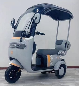 Tricycle électrique fermé à 3 roues avec auvent, moteur sans balais 650W, vitesse maximale 45 km/h, certifié CE - Product Image 2