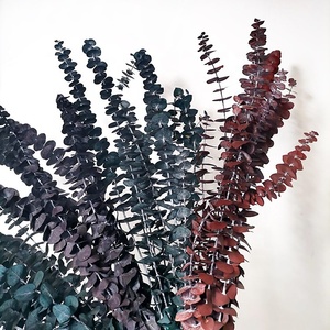 Fleurs d'été en gros : Eucalyptus naturel préservé pour la décoration intérieure - Product Image 1