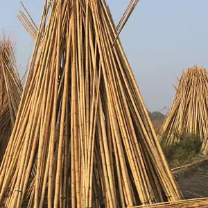 Natuurlijke Bamboe Sheet Verkoolde Decoratieve Materialen Van Verschillende Specificaties Bamboe Pole