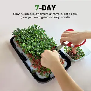 Microgreen 재배 키트 자체 급수 실내 야채 씨앗 화분 정원 스타터 성장 가벼운 수경 식물 키트