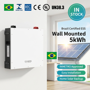 Batería de pared Dyness DL5.0C 51.2V 100Ah 5.12kWh con certificación Inmetro Brasil, 6000 ciclos, almacenamiento solar doméstico, compatible con DL5.0C Flexible In - Product Image 1