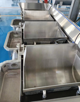 Drie-In-Één Functie Fruitgroentevlees Zeevruchten Wassen Blancheren Koelmachine