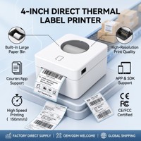 Impresora de Etiquetas Térmicas de 4 Pulgadas para Envíos y Logística, 203DPI, 160mm/s, WiFi, Bluetooth, para Mensajería Express, Amazon, Ebay, MHT-L9250
