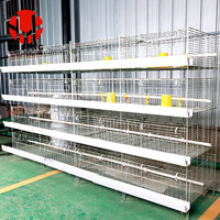 Système de cages à poulets de chair de type H avec alimentation et abreuvement automatiques et élimination des excréments pour poulailler