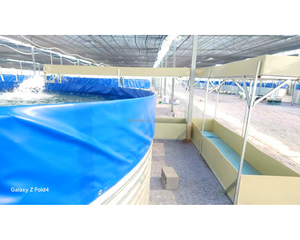 <span class=keywords><strong>Lona</strong></span> de PVC resistente a la corrosión recubierta de <span class=keywords><strong>estanque</strong></span> de peces galvanizado tanques de agua de gran capacidad para piscicultura de camarones al aire libre - Product Image 3