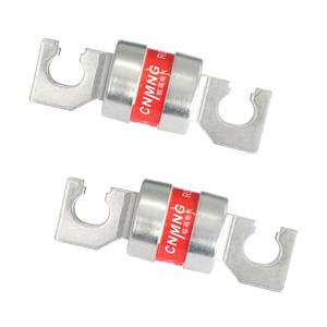 Rgs88m nhanh cầu chì tùy chỉnh 50kA bán dẫn Bảo vệ thiết bị cầu chì - Product Image 5