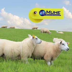 Wholesale Good Quality PE 52mm Ear Tags For Sheep