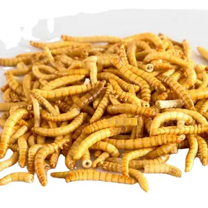 100g 200g 500g 가방 건조 mealworms 중국에서 노란색 mealworms
