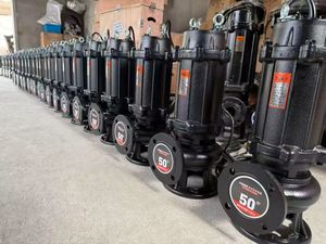 Pompa sommersa elettrica in acciaio inossidabile per pozzi profondi, ad alta prevalenza, personalizzata per acqua e liquami, per uso agricolo - Product Image 4
