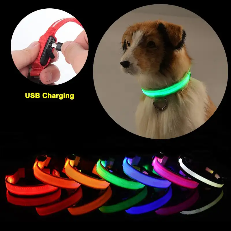 Nuovo prodotto Glow In The Dark luminoso Premium regolabile Usb ricaricabile Light Up Led collare per cani