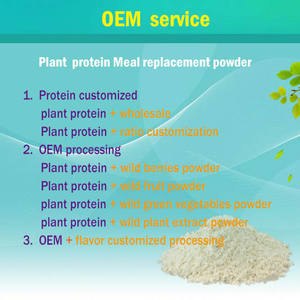 Fabrik Großhandel Maulbeer fruchtsaft pulver Premium Pflanzen extrakt für Gesundheit & Wellness - Product Image 4