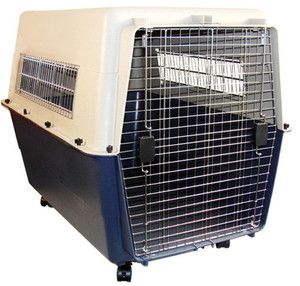 Porte-copie en plastique pour animaux de compagnie, nouvelle <span class=keywords><strong>Cage</strong></span> de <span class=keywords><strong>transport</strong></span> aérien, boîte de voyage, chenil, avec roue, 2 unités - Product Image 2