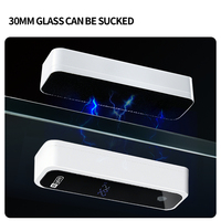 YEE Vente en gros d'usine Nettoyeur de vitres d'aquarium Brosse magnétique pour aquarium Grattoir à algues double face avec affichage de la température