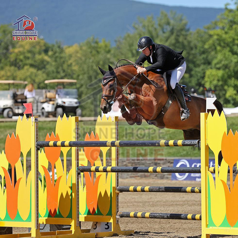 Customized Pattern Horse Show Jumps Equestrian