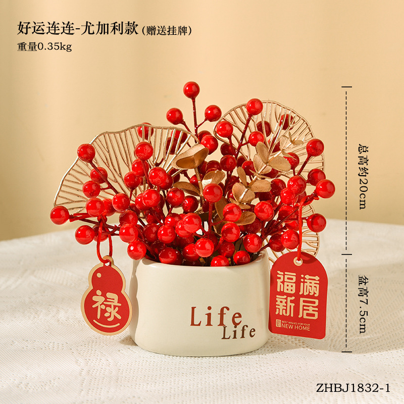 Bonsaï aux fruits rouges Life [Produit fini]