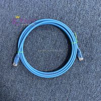 Cable de Red UTP CAT6 de 8 Conductores, Cable de Conexión de 30 cm