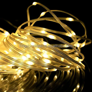 Newish Hot Bán hộp pin toàn cầu <span class=keywords><strong>Led</strong></span> <span class=keywords><strong>Micro</strong></span> chuỗi <span class=keywords><strong>Lights</strong></span> cho Giáng sinh Home Park cắm trại bầu không khí - Product Image 1