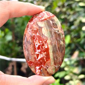 Wholesale Natural Spiritual Healing Money Agate Palm&Red Mexican Agate HeartPolished Crystal for Home Decor and Holiday Gifts - Product Image 2
