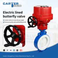 Válvula de Mariposa Manual Revestida de PTFE, FEP, PFA, de Hierro Dúctil, Tipo Lug, IP67, para Tratamiento de Agua, ANSI B16.5, Personalizada