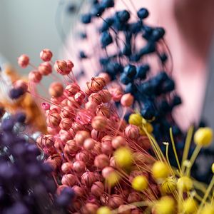 Vente en gros d'usine, arrangements floraux naturels séchés <span class=keywords><strong>de</strong></span> Zante avec du <span class=keywords><strong>lin</strong></span> pour la décoration <span class=keywords><strong>de</strong></span> la maison, mariage, fête des mères, Noël, bouquets - Product Image 4