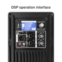 DSP, doğrudan ve paralel çıkışlar, devre koruması içeren 500W amplifikatör modülleri 2 kanallı aktif modül