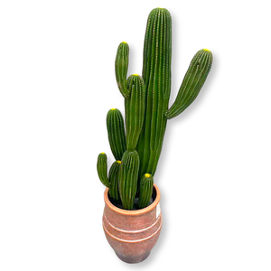 Ornements de décoration de fenêtre pour intérieur, grandes plantes, boule de pilier immortelle du Moyen-Orient, en matériau PU, <span class=keywords><strong>herbe</strong></span> artificielle, cactus - Product Image 3