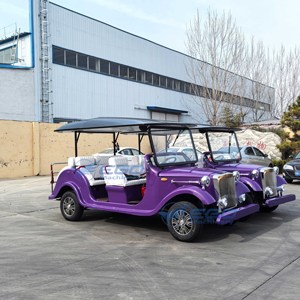 Autobús Turístico Eléctrico Vintage Morado, Vehículo Turístico Retro para Recorridos Turísticos en Sitios Panorámicos, Autobús de Transporte con Toldo - Product Image 5