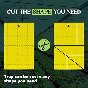 Trappola Adesiva Gialla Bifacciale per Insetti Volanti Piccoli, Efficace Controllo dei Parassiti per Frutteti e Orti - Product Image 2