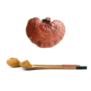 אורגני ריישי פטריות lucidum ganoderma תמצית 30% 40% 50% פוליסכריד/בטא גלוקן