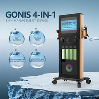 Appareil facial professionnel 4 en 1 Hydra H2o2 Oxygène, machine portable pour resserrer la peau, microdermabrasion