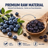 A-kwaliteit gedroogde blauwe bessen, gedroogd fruit voor bakkerijtoppings en ontbijtgranen, groothandel
