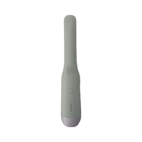 Lisseur de cheveux électrique portable en céramique LED de bonne qualité à bas prix, 110-220V, température réglable, trois couleurs