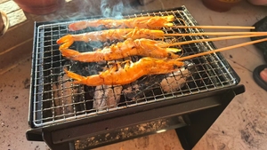 בזמן מוגבל, גריל פחמים נייד מתקפל מיני ברביקיו, עיצוב מתכת קל משקל לקמפינג ולחוץ מודרני סִגְנוֹן - Product Image 5