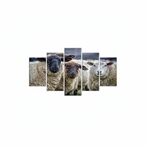 Toile élégante à imprimé mouton : Décoration rustique pour toute pièce, LOT DE 5 TOILES ASSORTIES - Product Image 2