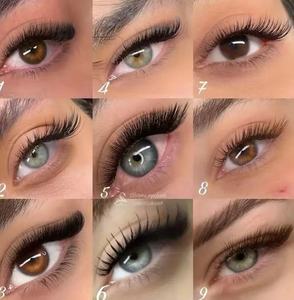Dragonlash ขนตาปลอมแบบคลาสสิกเส้นใย PBT แบบเกาหลีขนแคชเมียร์นุ่มเข้มขนตาแต่ละชิ้นทำมือเป็นลอนผมที่มั่นคง - Product Image 6