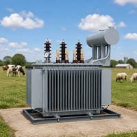 Transformateur de puissance immergé dans l'huile triphasé S20 500 kVA à trois enroulements 50 Hz 60 Hz pour distribution et usage agricole