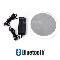 20W 5 inç aktif HiFi için Bluetooth PA tavan hoparlör dahili güç amplifikatörü ev sineması okul mağaza dükkanı için tiyatro