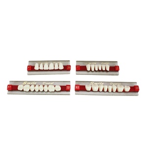 Dientes de resina acrílica para dentadura, dientes de resina artificiales - Product Image 4