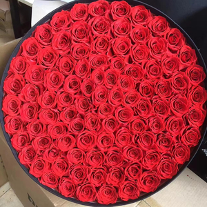 Eternal Real Touch Flower Real Touch Roses Flower Decoración de <span class=keywords><strong>la</strong></span> boda Flores preservadas Real Touch Pampas de alta calidad - Product Image 1