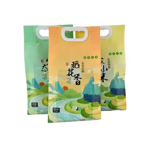 कस्टम प्रिंटिंग प्लास्टिक खाद्य पैकेजिंग 1 किलो 2 किलो 5 किलो चावल बैग पीपी बैग हैंडल के साथ प्लास्टिक बैग पैकिंग