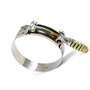 Kinglin Wholesale 304 Stainless Steel Worm Gear China Manufacture Adjustable T-Bolt <strong>Hose</strong> - Product Image 6